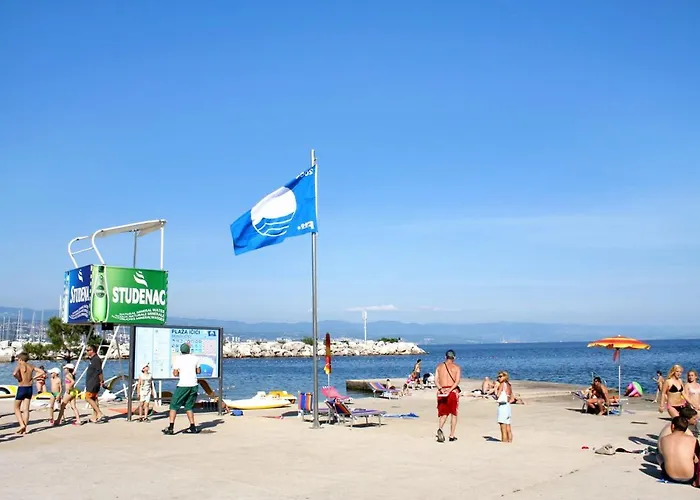 With Parking Space Icici, Opatija - 7788 Apartment *